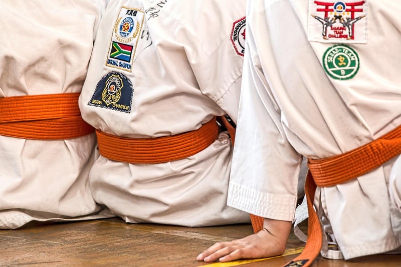 Karate Workshop